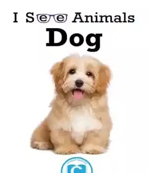 دانلود کتاب Dog – سگ
