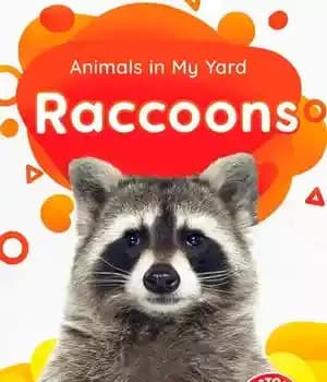 دانلود کتاب Raccoons – راکون ها