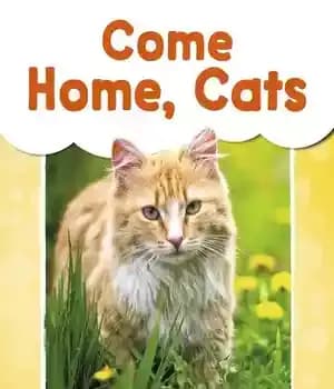 دانلود کتاب Come Home, Cats – به خانه بیا، گربه ها
