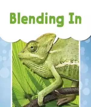 دانلود کتاب Blending in – در هم آمیختن