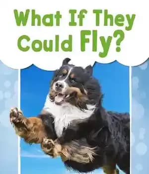 دانلود کتاب What If They Could Fly? – چه می شد اگر آنها می توانستند پرواز کنند؟