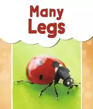 دانلود کتاب Many Legs – پاهای زیاد