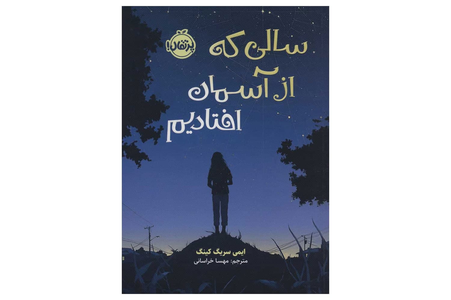 کتاب سالی که از آسمان افتادیم