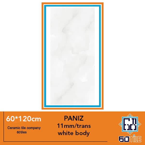 PANIZ -کاشی خاطره کویر یزد- طرح پانیز-لعاب براق-120*60 -برند تروسکه