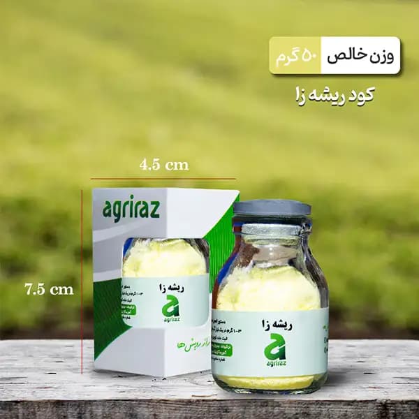 کود مناسب بنت قنسول — تصویر ۳