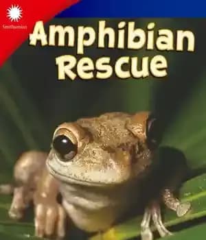 دانلود کتاب Amphibian Rescue – نجات دوزیستان — تصویر ۲
