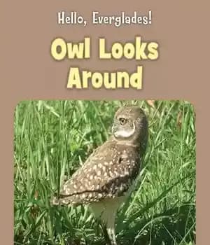 دانلود کتاب Owl Looks Around – جغد به اطراف نگاه می کند