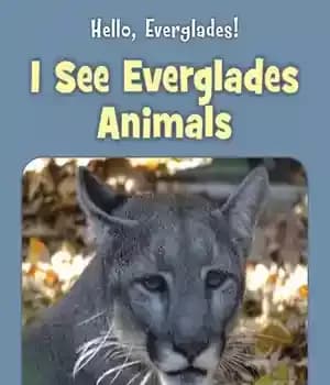 دانلود کتاب I See Everglades Animals – من حیوانات اورگلیدز را می بینم