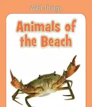 دانلود کتاب Animals of the Beach – حیوانات ساحل