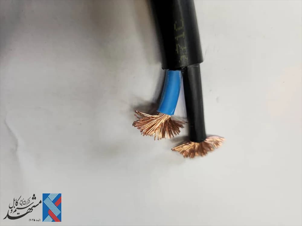 کابل افشان 2 در 10 مشهد — تصویر ۳