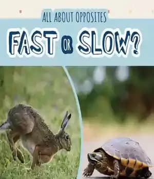 دانلود کتاب Fast or Slow? – سریع یا آهسته؟