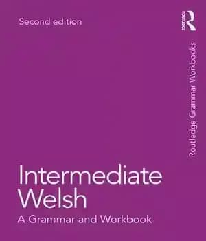 دانلود کتاب Intermediate Welsh: A Grammar and Workbook – متوسط ولزی: گرامر و کتاب کار — تصویر ۲