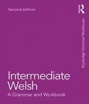 دانلود کتاب Intermediate Welsh: A Grammar and Workbook – متوسط ولزی: گرامر و کتاب کار
