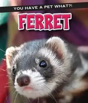 دانلود کتاب Ferret – موش خرما