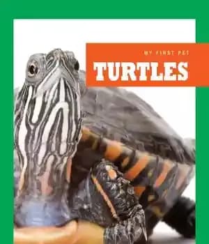 دانلود کتاب Turtles – لاک پشت ها