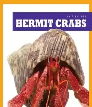 دانلود کتاب Hermit Crabs – خرچنگ های گوشه نشین