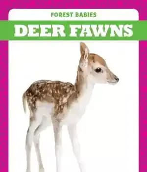 دانلود کتاب Deer Fawns – آهو آهو