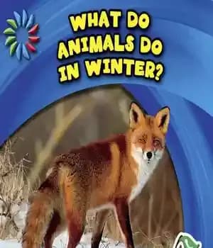 دانلود کتاب What Do Animals Do in Winter? – حیوانات در زمستان چه می کنند؟
