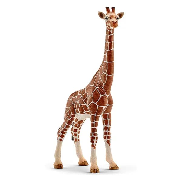 زرافه ماده اشلایش Schleich