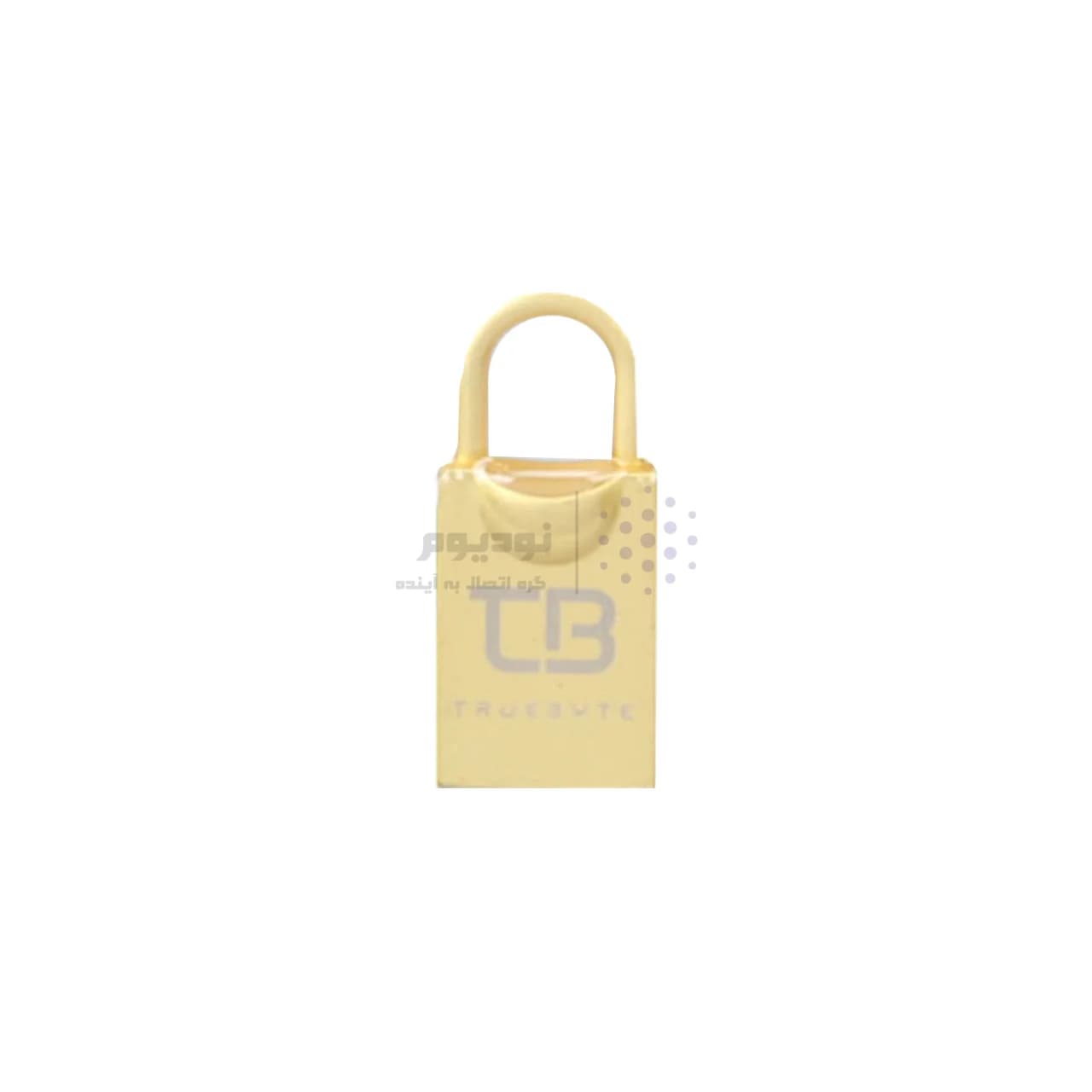 TRUEBYTE T2 USB2.0 Flash Memory-16GB طلایی (گارانتی مادام العمر شرکت آی تین) — تصویر ۴