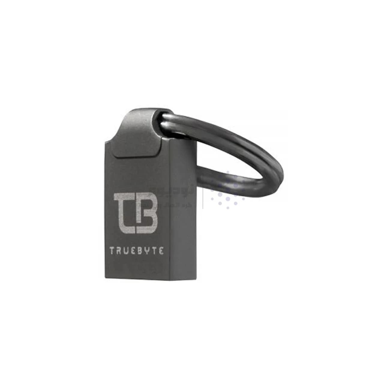 TRUEBYTE T1 USB2.0 Flash Memory-32GB مشکی (گارانتی مادام العمر شرکت آی تین) — تصویر ۴