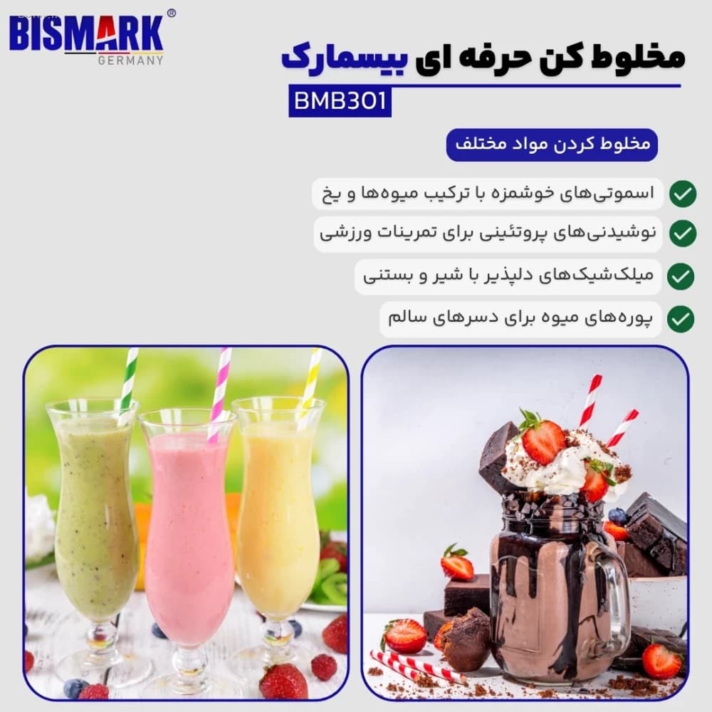 مخلوط کن حرفه ای بیسمارک مدل BMB301 — تصویر ۳