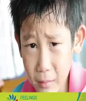 دانلود کتاب Sadness – غمگینی