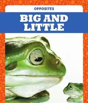 دانلود کتاب Big and Little – بزرگ و کوچک