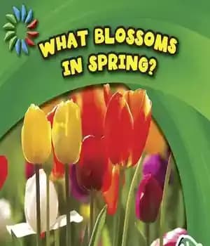 دانلود کتاب What Blossoms in Spring? – چه چیزی در بهار شکوفا می شود؟
