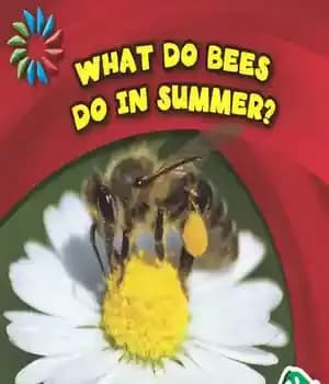 دانلود کتاب What Do Bees Do in Summer? – زنبورها در تابستان چه می کنند؟