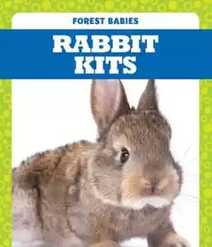 دانلود کتاب Rabbit Kits – کیت خرگوش