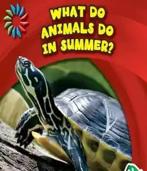 دانلود کتاب What Do Animals Do in Summer? – حیوانات در تابستان چه می کنند؟
