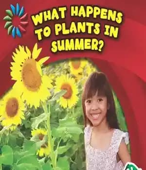 دانلود کتاب What Happens to Plants in Summer? – چه اتفاقی برای گیاهان در تابستان می افتد؟