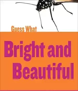 دانلود کتاب Bright and Beautiful: Butterfly – روشن و زیبا: پروانه