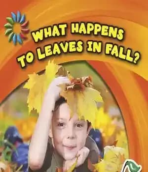 دانلود کتاب What Happens to Leaves in Fall? – در پاییز چه اتفاقی برای برگ ها می افتد؟