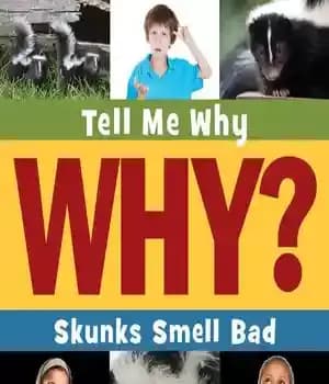 دانلود کتاب Skunks Smell Bad – اسکنک ها بوی بدی دارند
