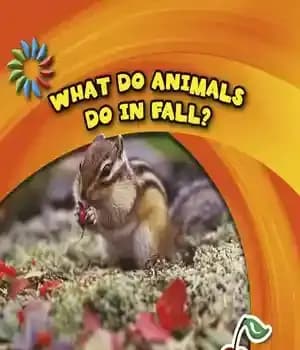دانلود کتاب What Do Animals Do in Fall? – حیوانات در پاییز چه می کنند؟