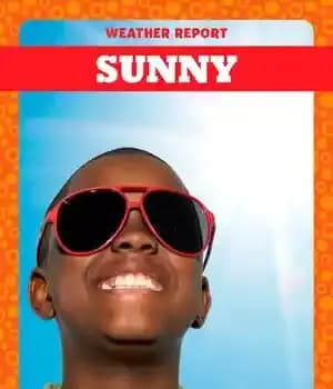 دانلود کتاب Sunny – آفتابی