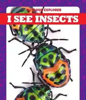 دانلود کتاب I See Insects – من حشرات را می بینم