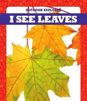 دانلود کتاب I See Leaves – من برگها را می بینم