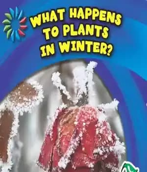 دانلود کتاب What Happens to Plants in Winter? – چه اتفاقی برای گیاهان در زمستان می افتد؟