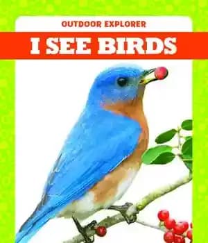 دانلود کتاب I See Birds – من پرندگان را می بینم