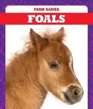 دانلود کتاب Foals – کره ها