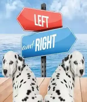 دانلود کتاب Left and Right – چپ و راست