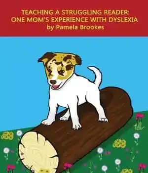 دانلود کتاب Teaching A Struggling Reader: One Mom’s Experience with Dyslexia – آموزش یک خواننده مبارز: تجربه یک مادر با…