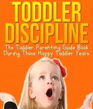 دانلود کتاب Toddler Discipline – انضباط کودک نوپا