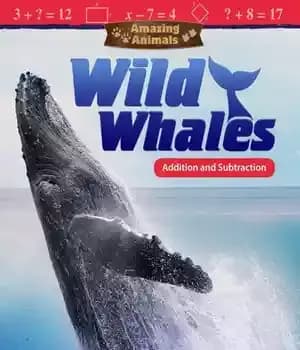 دانلود کتاب Amazing Animals: Wild Whales: Addition and Subtraction – حیوانات شگفت انگیز: نهنگ های وحشی: جمع و تفریق