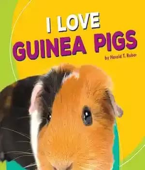 دانلود کتاب I Love Guinea Pigs – من عاشق خوکچه هندی هستم