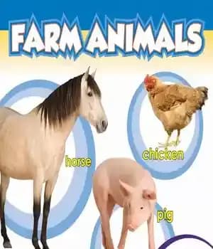 دانلود کتاب Farm Animals – حیوانات مزرعه