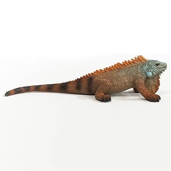 ایگوانا اشلایش Schleich — تصویر ۲